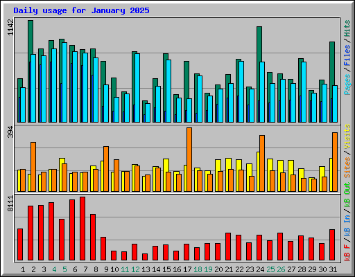 Daily usage for January 2025