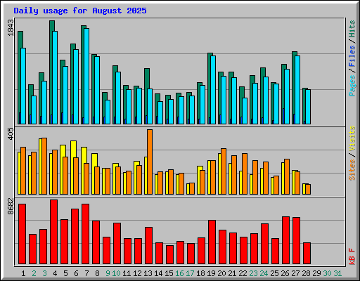 Daily usage for August 2025