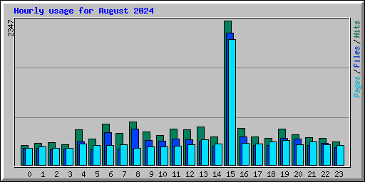 Hourly usage for August 2024