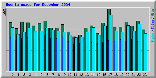 Hourly usage for December 2024