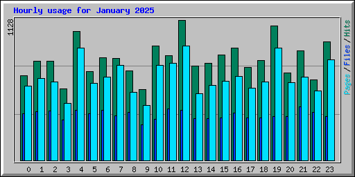 Hourly usage for January 2025