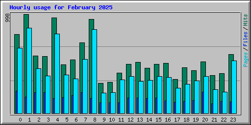 Hourly usage for February 2025