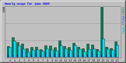 Hourly usage for June 2025