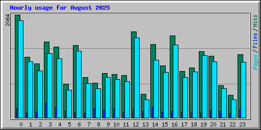 Hourly usage for August 2025