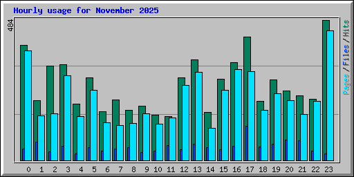 Hourly usage for November 2025