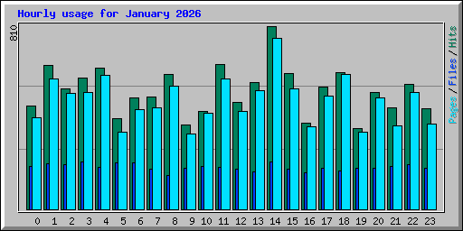 Hourly usage for January 2026