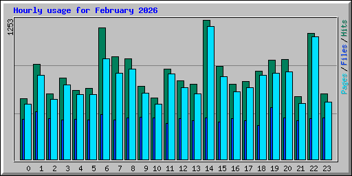 Hourly usage for February 2026