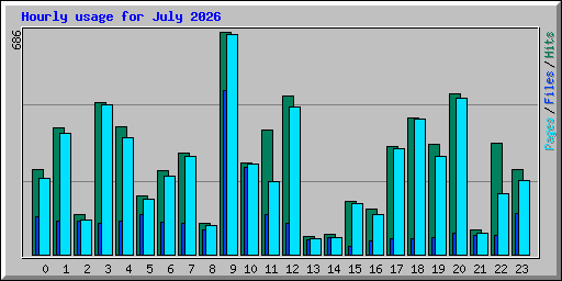 Hourly usage for July 2026