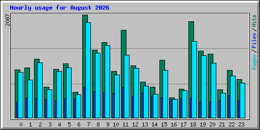 Hourly usage for August 2026