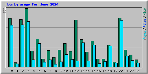 Hourly usage for June 2024