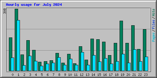 Hourly usage for July 2024