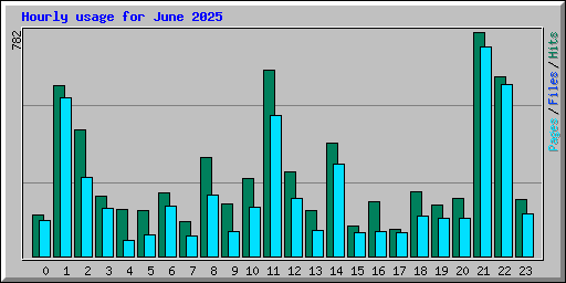Hourly usage for June 2025