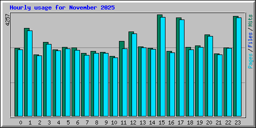 Hourly usage for November 2025