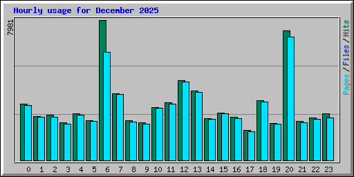 Hourly usage for December 2025