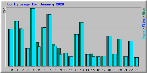 Hourly usage for January 2026