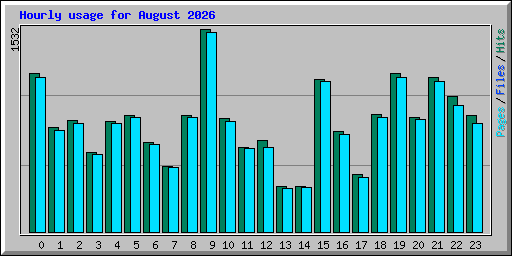 Hourly usage for August 2026